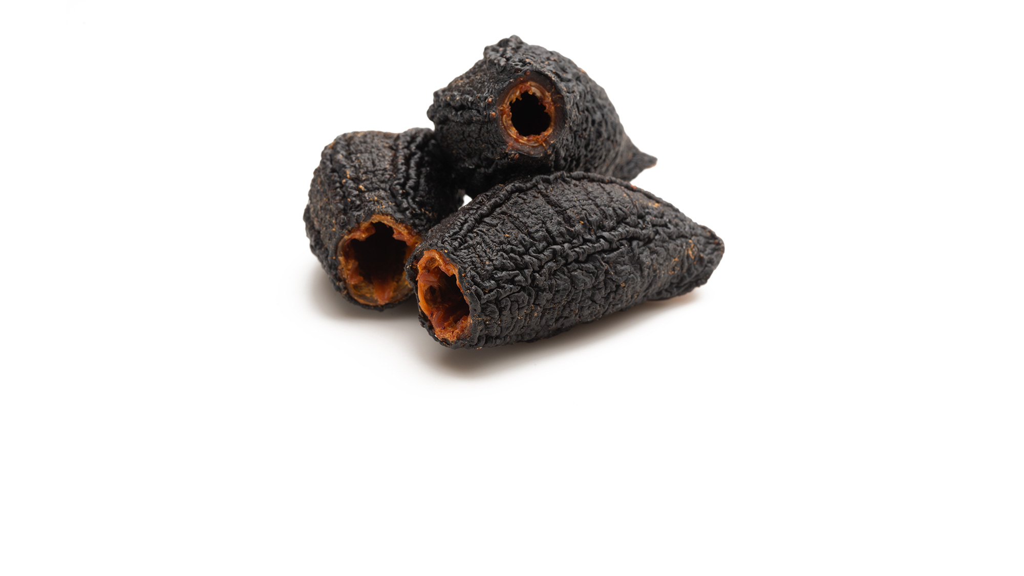 Atlantic Sea Cucumber
